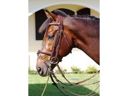 Dyon Collection Double Bridle Comined Noseband