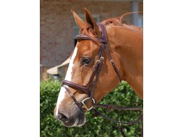 Dy on D.C Combined Noseband Bridle