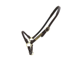 Leather grooming halter Cob